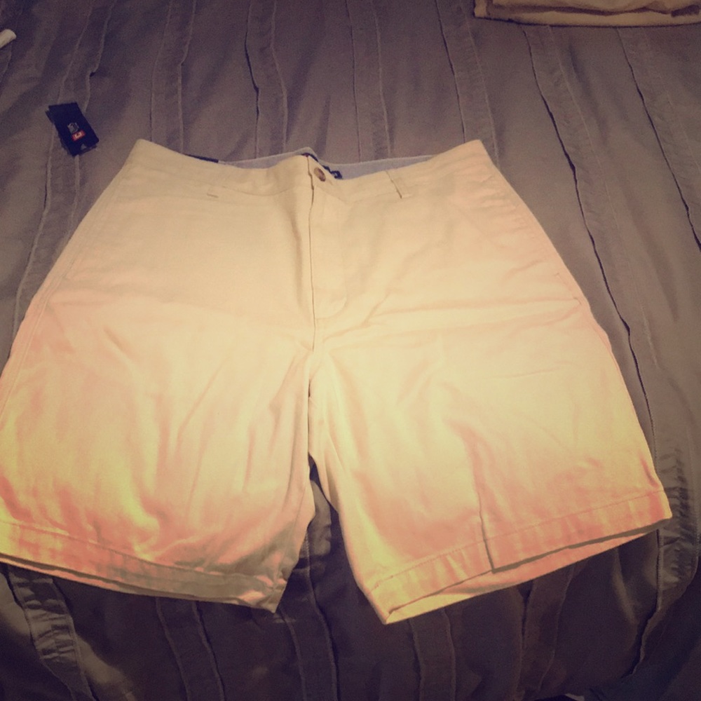 Kaki Shorts